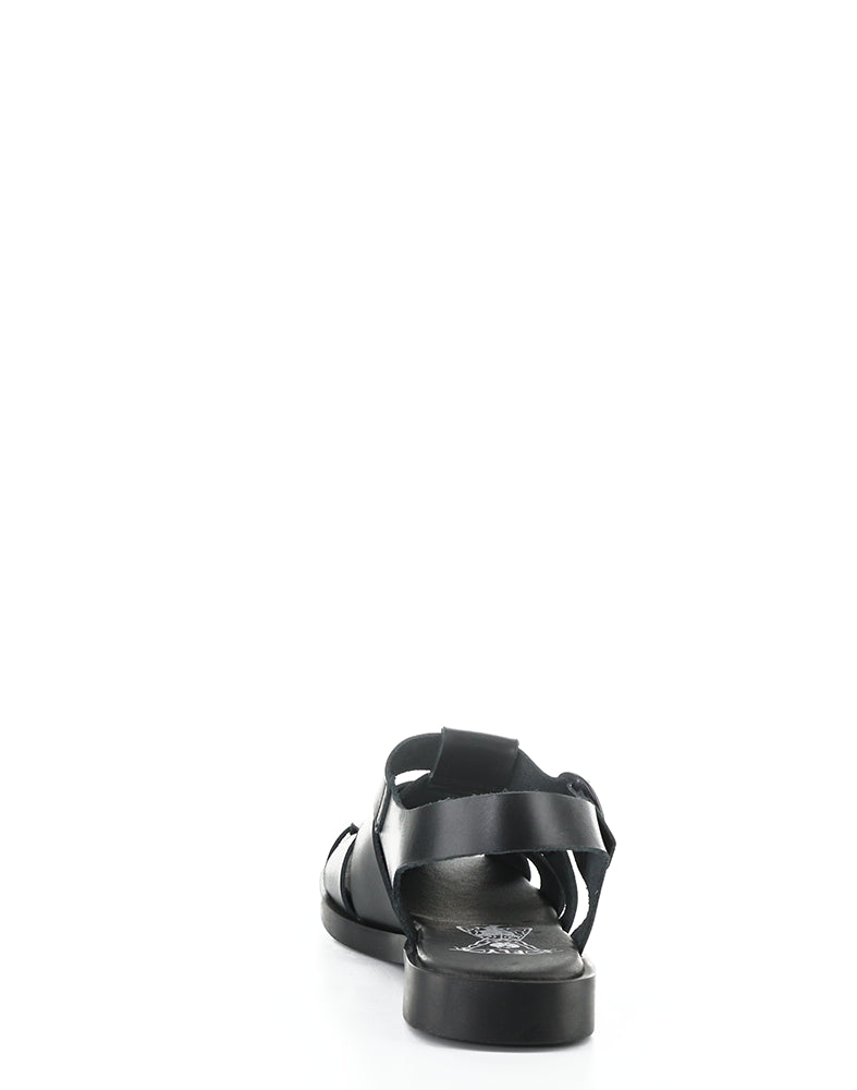 Ared437Fly 000 Black Bridle