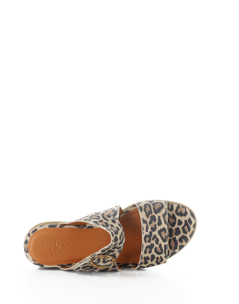 ASHA LEOPARD SUEDE PRINT