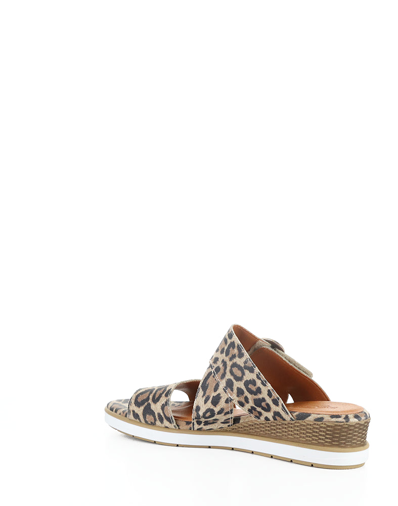 ASHA LEOPARD SUEDE PRINT