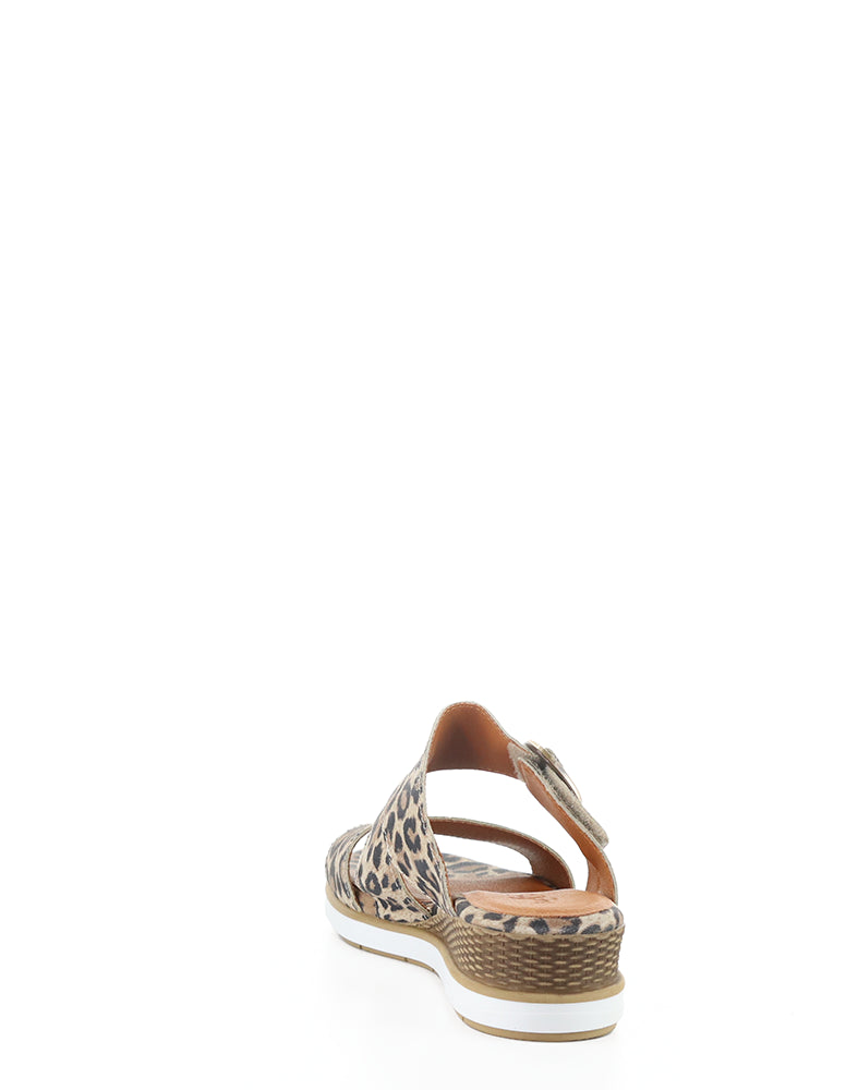 ASHA LEOPARD SUEDE PRINT