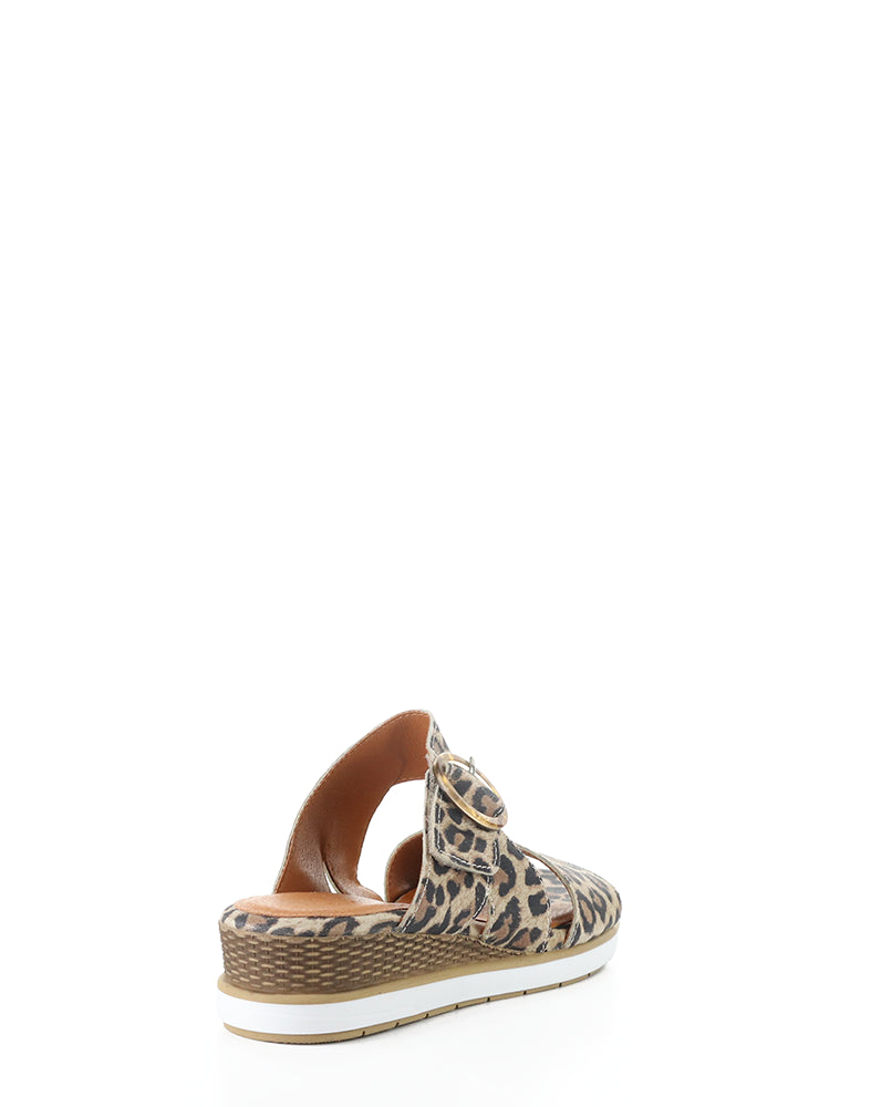 ASHA LEOPARD SUEDE PRINT