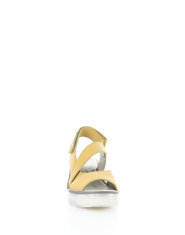 Basy605Fly 002 Bumblebee Mousse