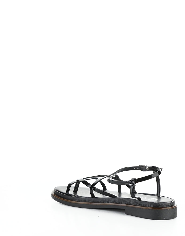 Cassia Black Vernice