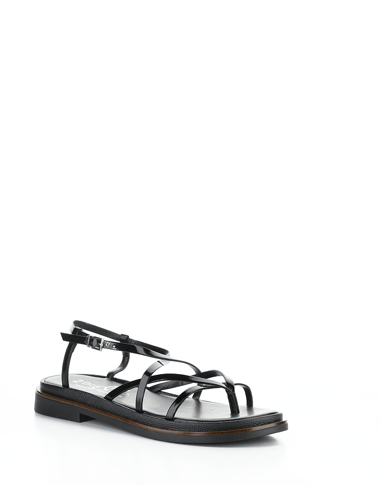 Cassia Black Vernice