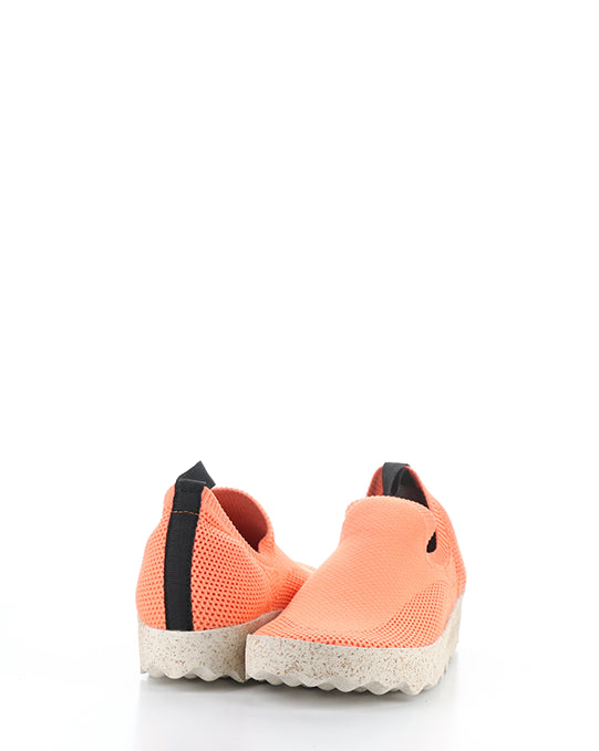 CLIP226ASP 003 CORAL RECYCLED KNITT
