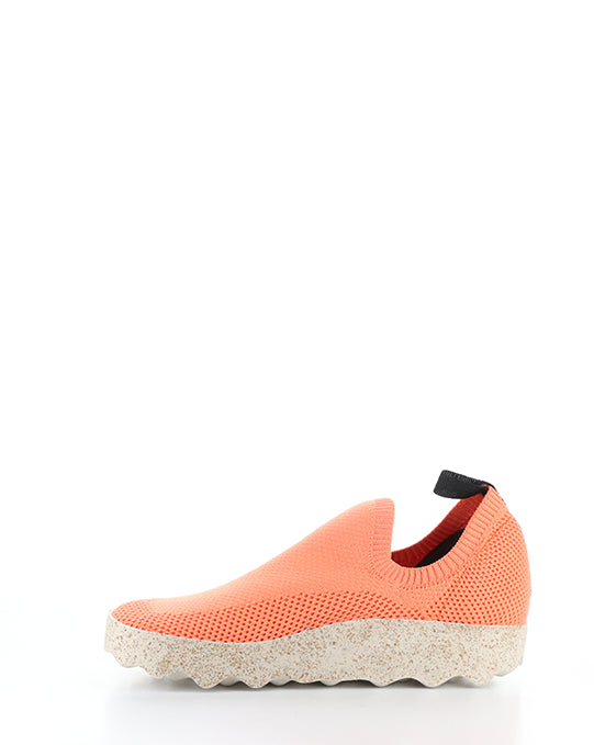 CLIP226ASP 003 CORAL RECYCLED KNITT