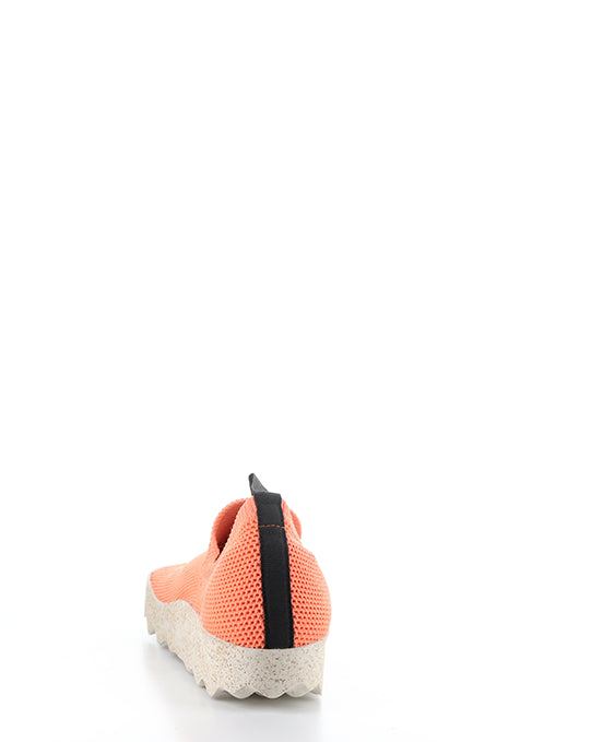 CLIP226ASP 003 CORAL RECYCLED KNITT