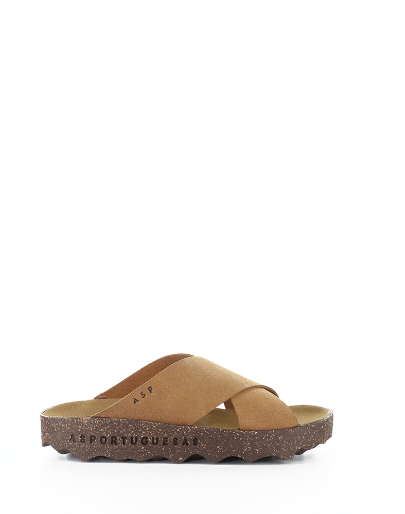 CROSS276ASP 006 BROWN BIO SUEDE