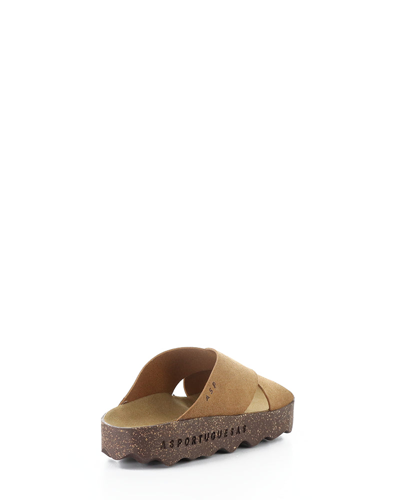 CROSS276ASP 006 BROWN BIO SUEDE
