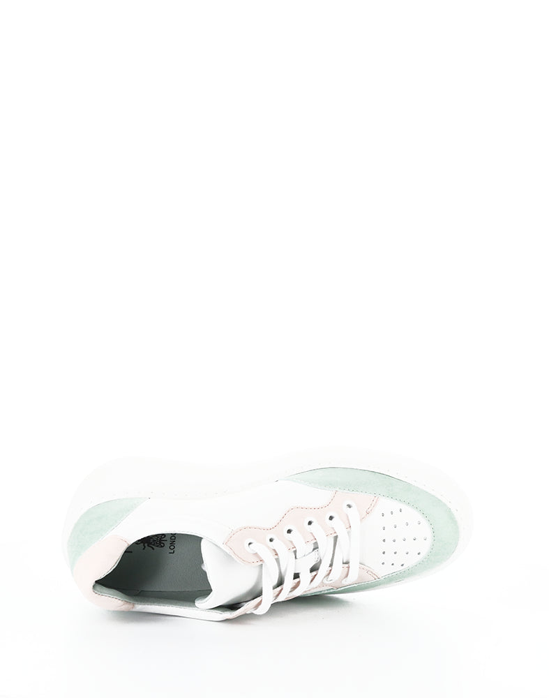 Derk742Fly 003 Mint Multi Lavato/Velvet