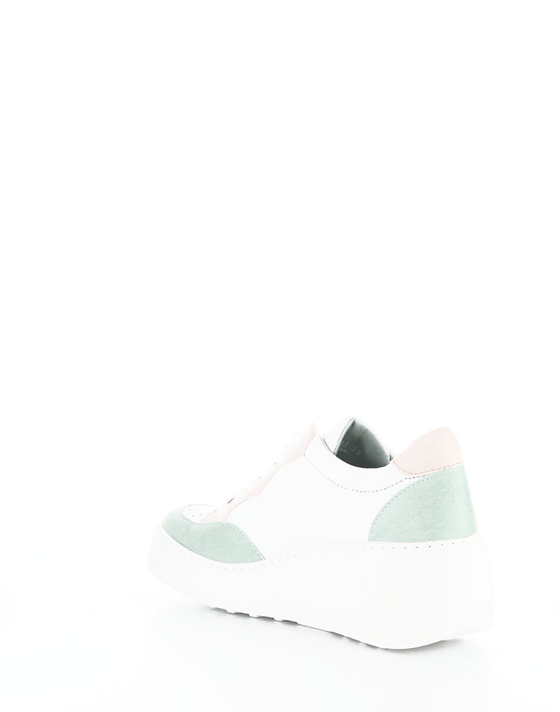 Derk742Fly 003 Mint Multi Lavato/Velvet