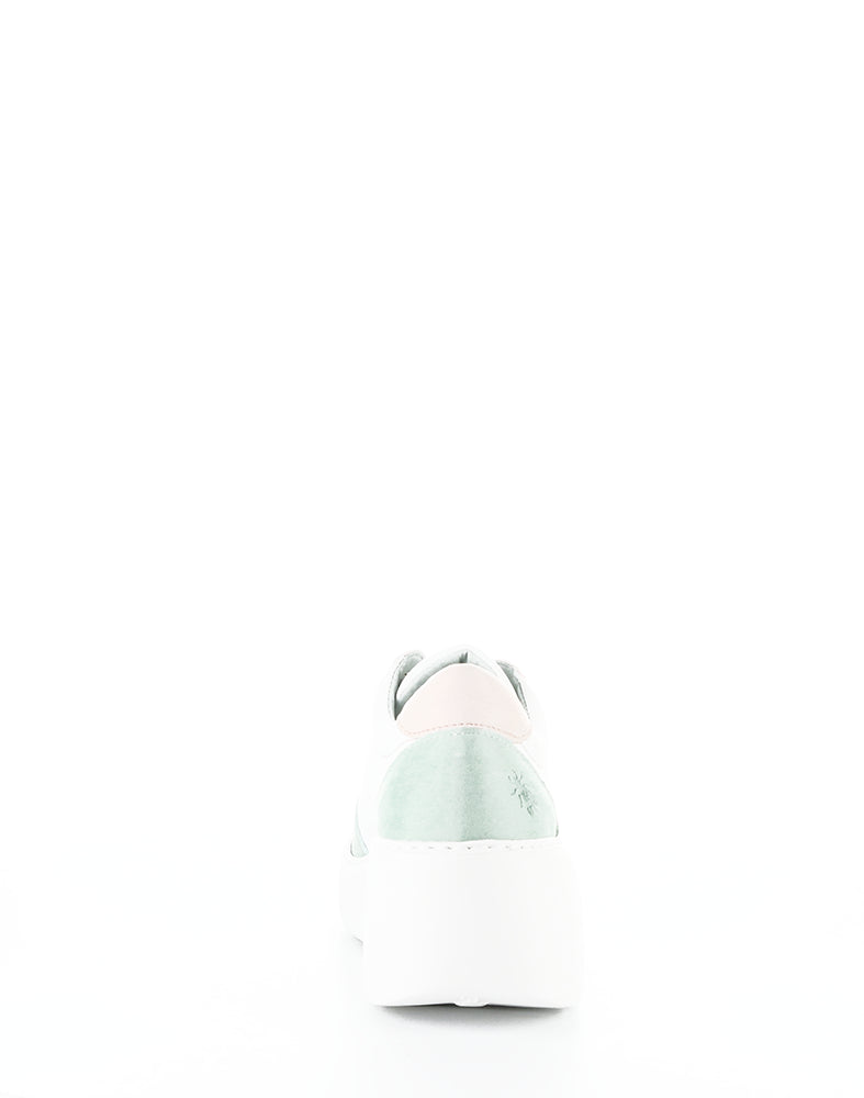 Derk742Fly 003 Mint Multi Lavato/Velvet