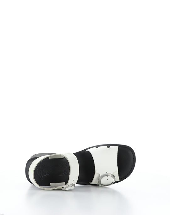EBLI238FLY 006 WHITE/BLACK BRIDLE