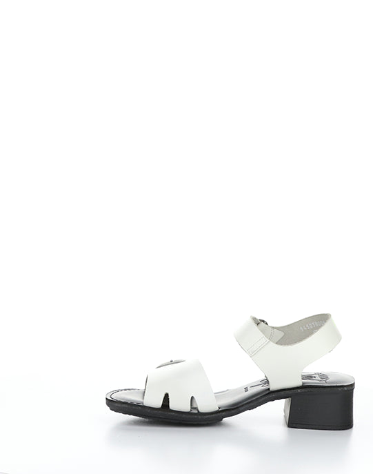 EBLI238FLY 006 WHITE/BLACK BRIDLE