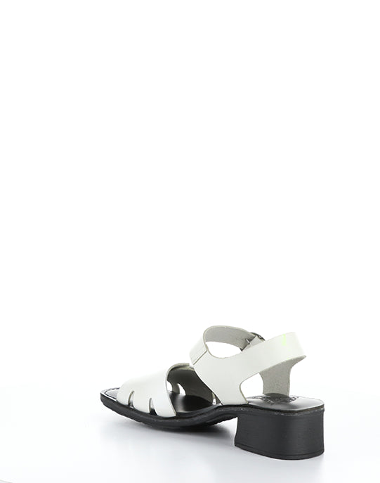 EBLI238FLY 006 WHITE/BLACK BRIDLE