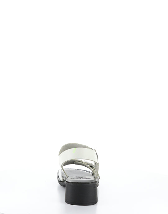 EBLI238FLY 006 WHITE/BLACK BRIDLE