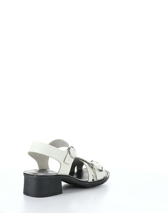 EBLI238FLY 006 WHITE/BLACK BRIDLE