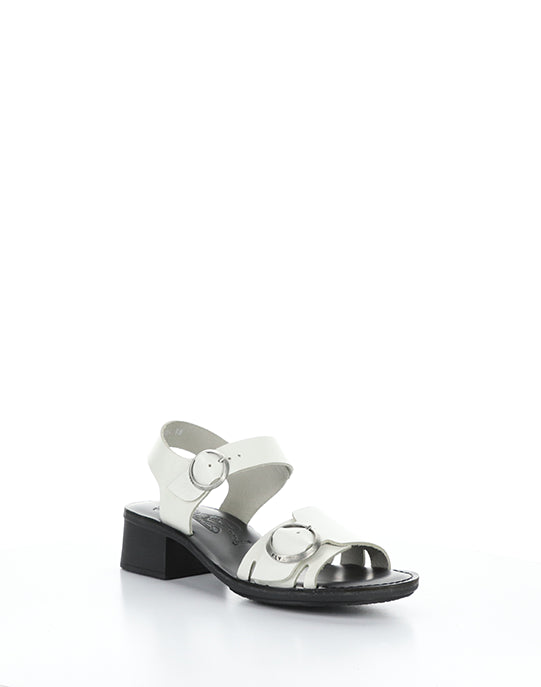 EBLI238FLY 006 WHITE/BLACK BRIDLE