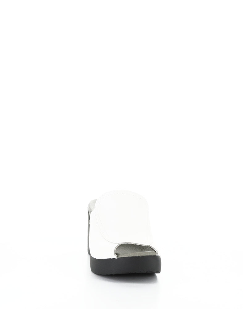 Flae425Fly 004 White Bridle