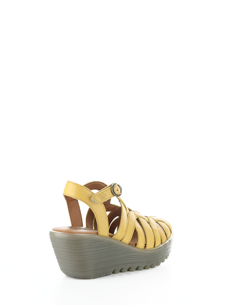 Lemy397Fly 006 Bumblebee Mousse