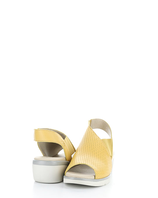 NISI066FLY 001 BUMBLEBEE MOUSSE