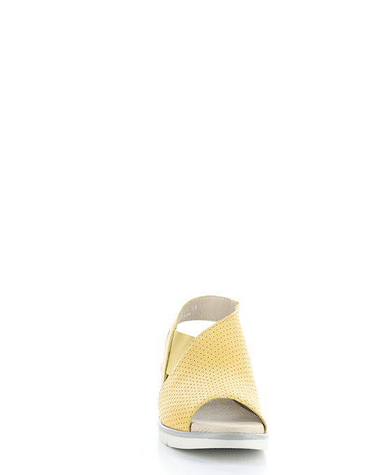 NISI066FLY 001 BUMBLEBEE MOUSSE