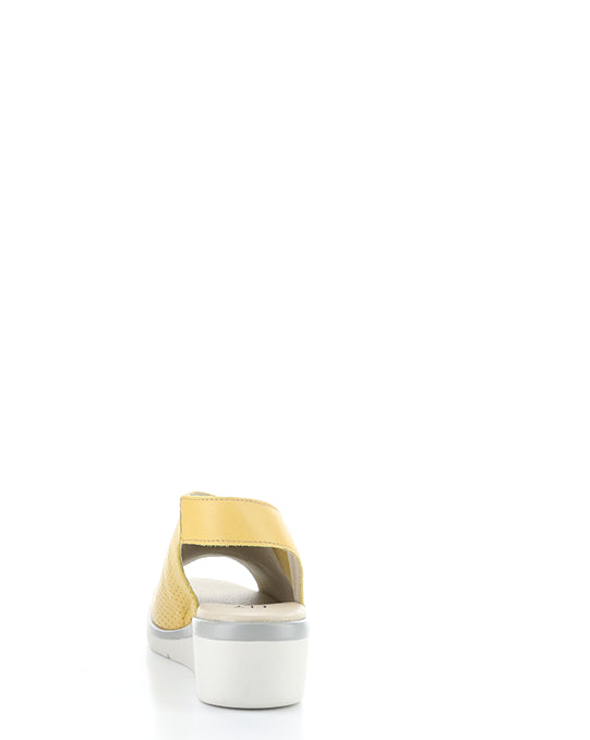 NISI066FLY 001 BUMBLEBEE MOUSSE