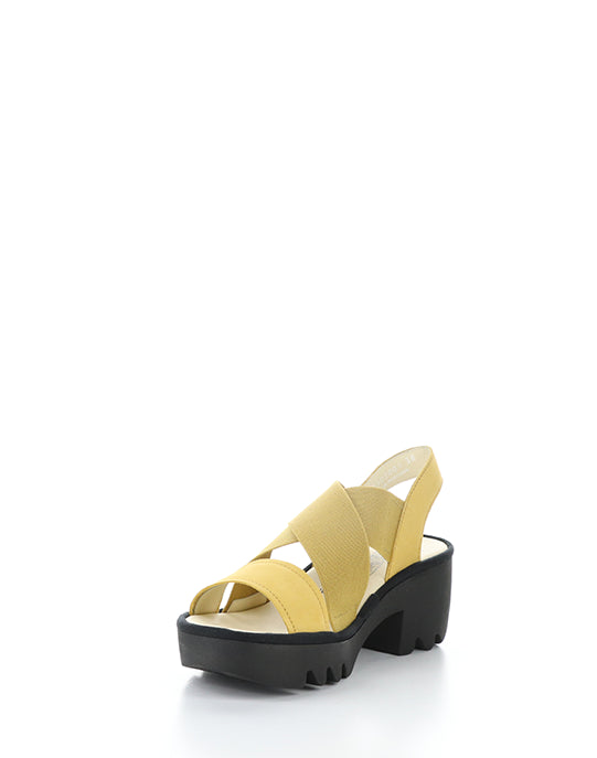 Taji502Fly 001 Bumblebee Cupido