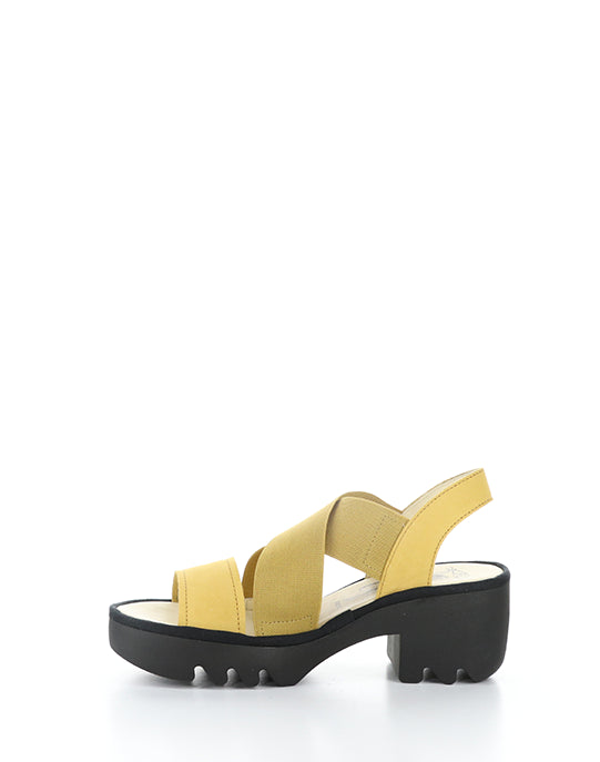 Taji502Fly 001 Bumblebee Cupido