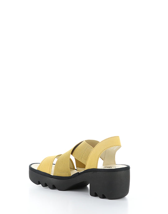 Taji502Fly 001 Bumblebee Cupido