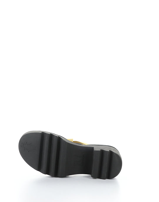 Taji502Fly 001 Bumblebee Cupido