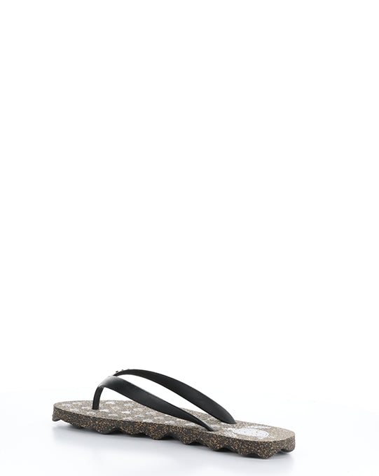 Turtle112Asp 001 Black Black Rubber