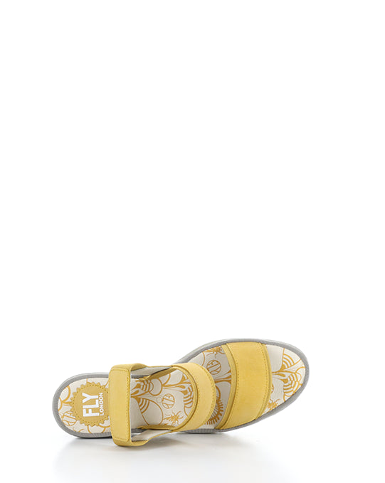 YACO416FLY 004 BUMBLEBEE CUPIDO