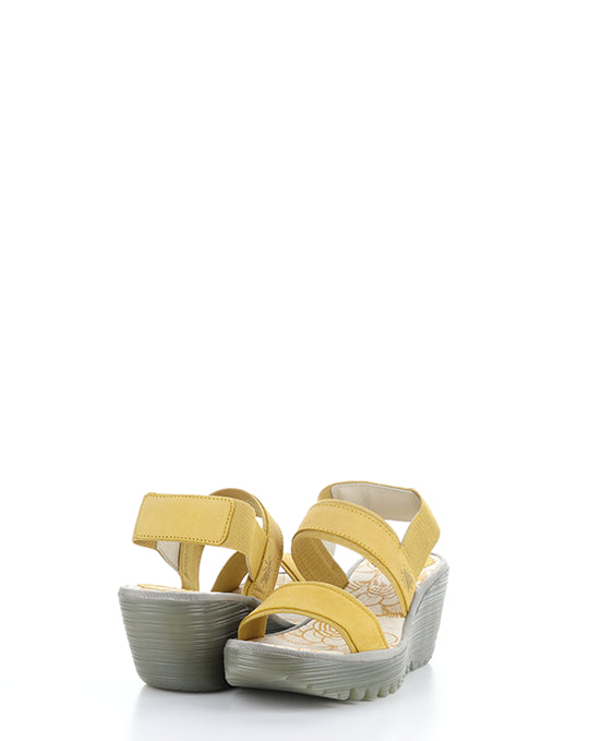 YACO416FLY 004 BUMBLEBEE CUPIDO