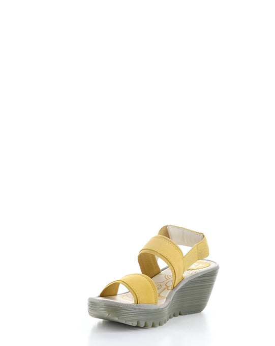 YACO416FLY 004 BUMBLEBEE CUPIDO