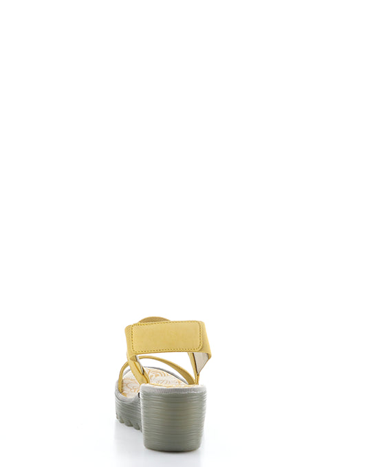 YACO416FLY 004 BUMBLEBEE CUPIDO