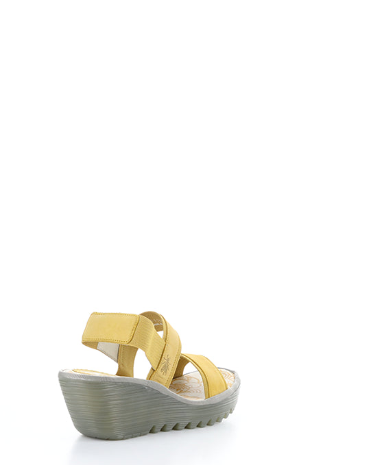YACO416FLY 004 BUMBLEBEE CUPIDO