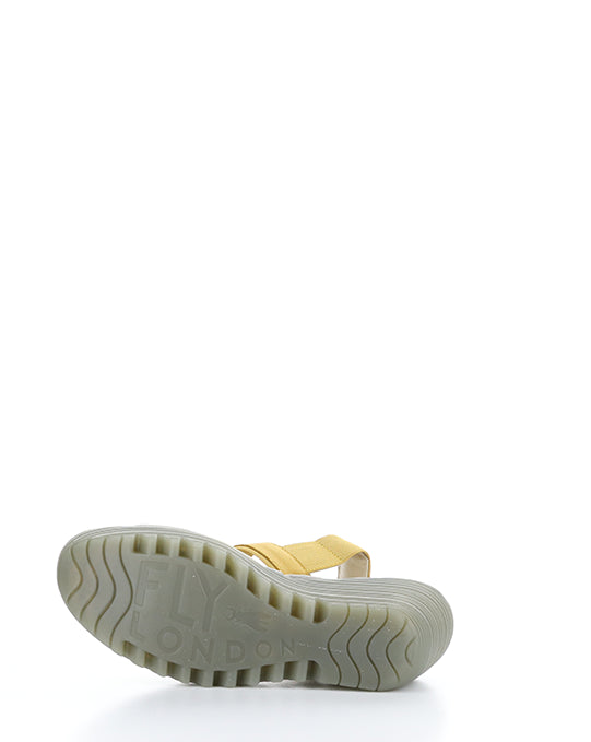 YACO416FLY 004 BUMBLEBEE CUPIDO