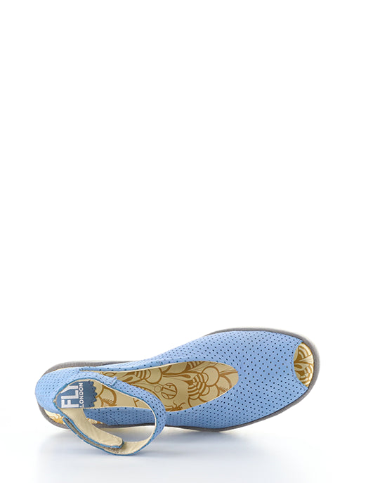 YALA376FLY PERF 058 BLUE CUPIDO