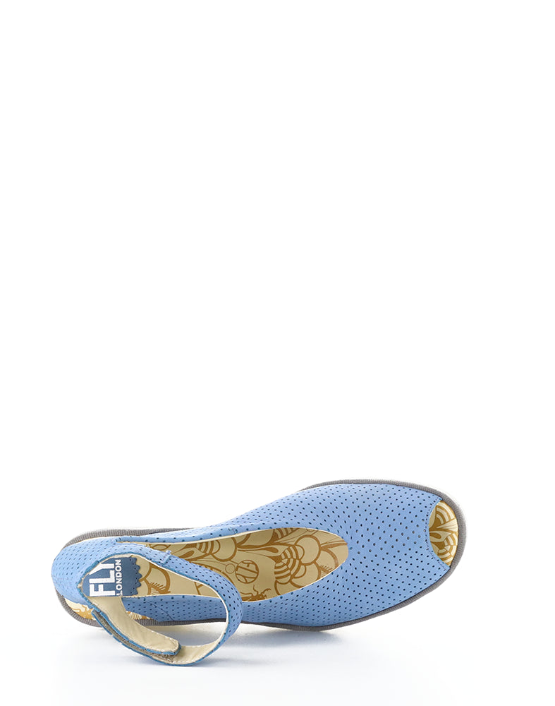 YALA376FLY PERF 062 BLUE CUPIDO
