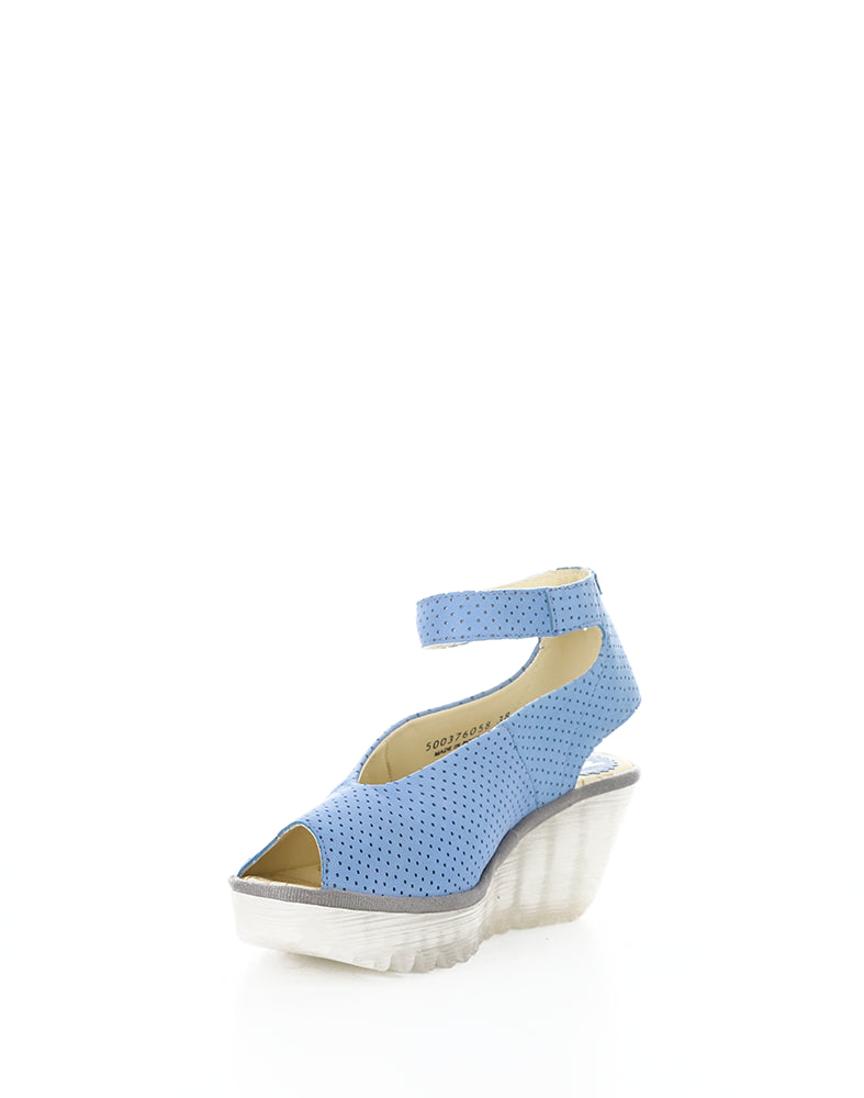 YALA376FLY PERF 062 BLUE CUPIDO