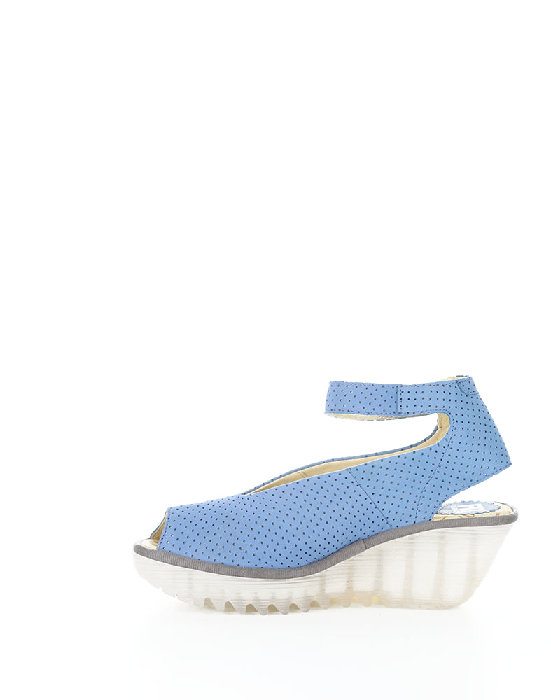 YALA376FLY PERF 062 BLUE CUPIDO