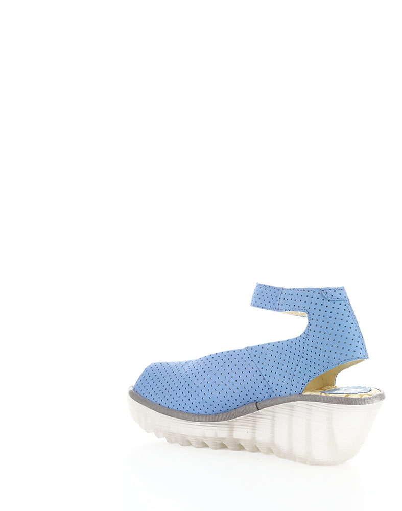 YALA376FLY PERF 062 BLUE CUPIDO