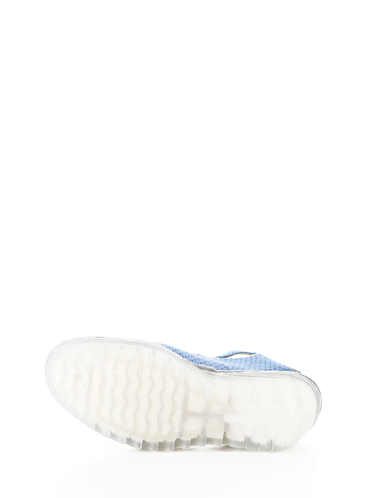 YALA376FLY PERF 062 BLUE CUPIDO