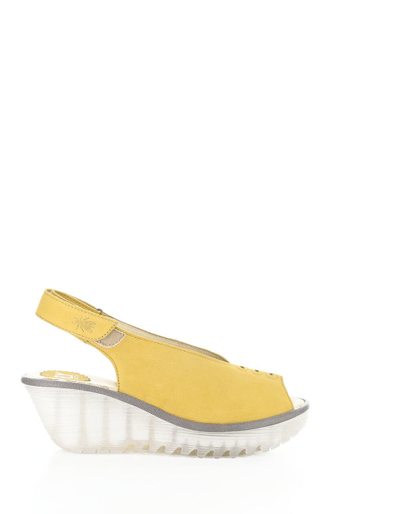YEAY387FLY 015 BUMBLEBEE CUPIDO