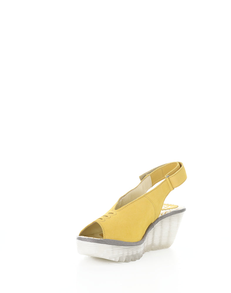 YEAY387FLY 015 BUMBLEBEE CUPIDO