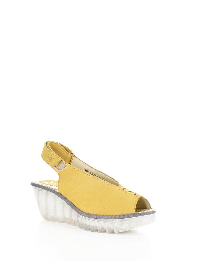 YEAY387FLY 015 BUMBLEBEE CUPIDO
