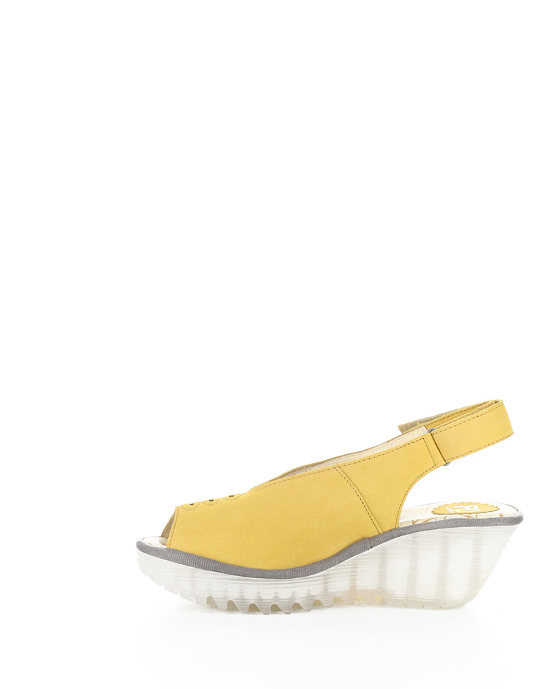 YEAY387FLY 015 BUMBLEBEE CUPIDO