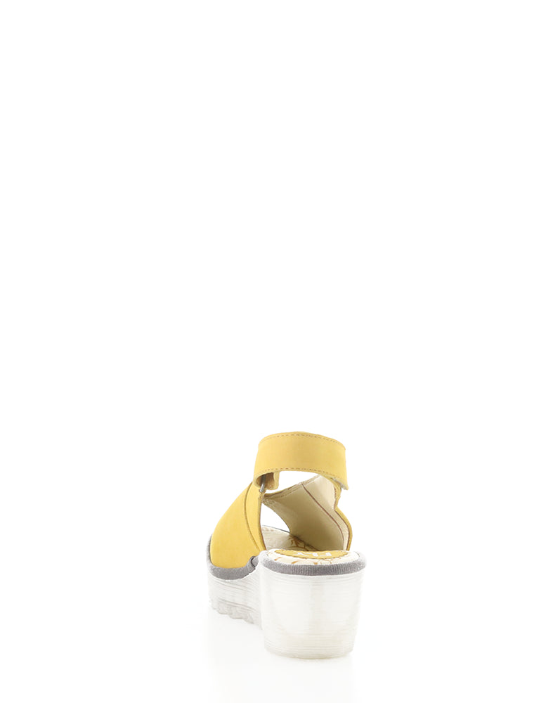 YEAY387FLY 015 BUMBLEBEE CUPIDO