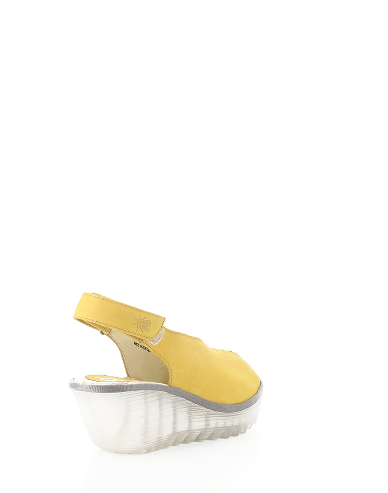 YEAY387FLY 015 BUMBLEBEE CUPIDO